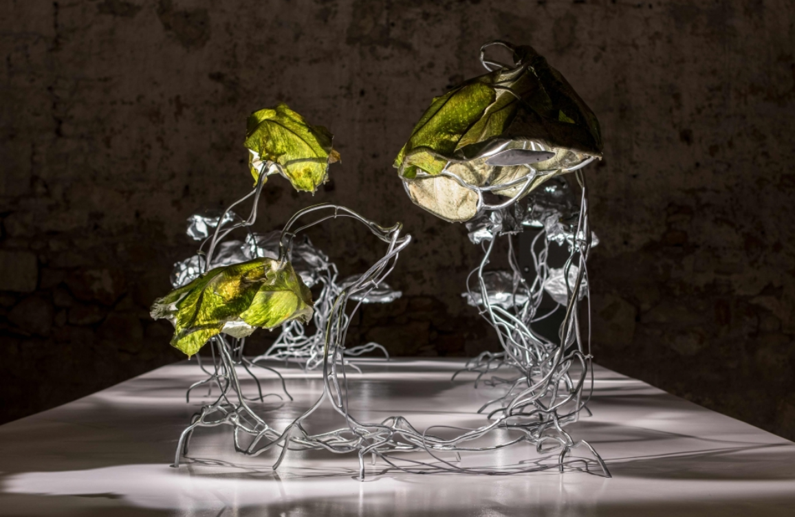 Marcin Rusak Encoded Symbols | Protoplasting Nature