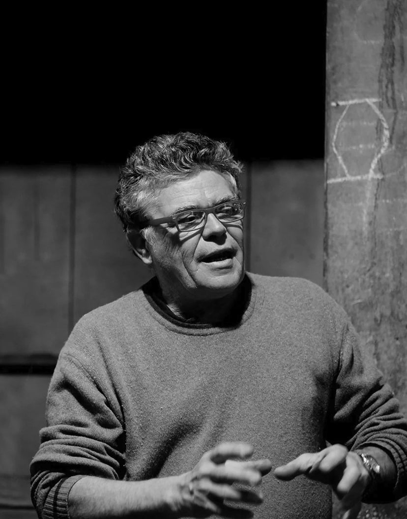 Massimo Micheluzzi