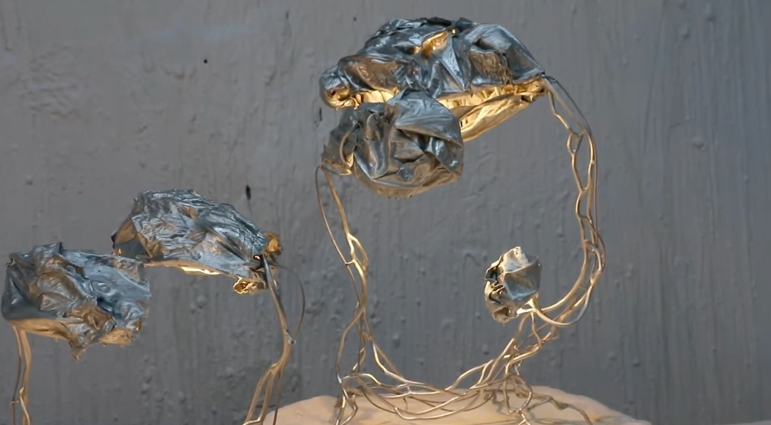 Marcin Rusak - Protoplasting Nature