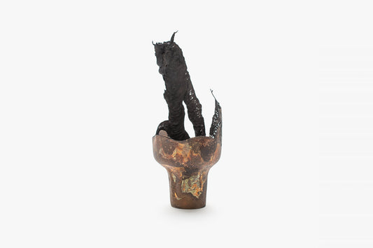 OAO113.2020.75