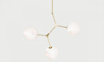 Branching Bubble Chandeliers