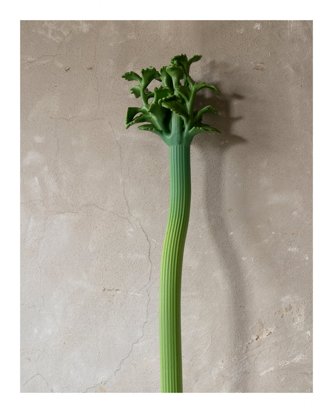 DESIGNBOOM