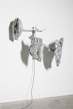 Protoplasting Nature 02