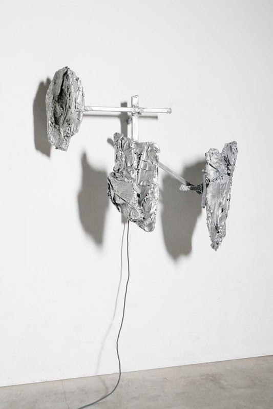 Protoplasting Nature 02