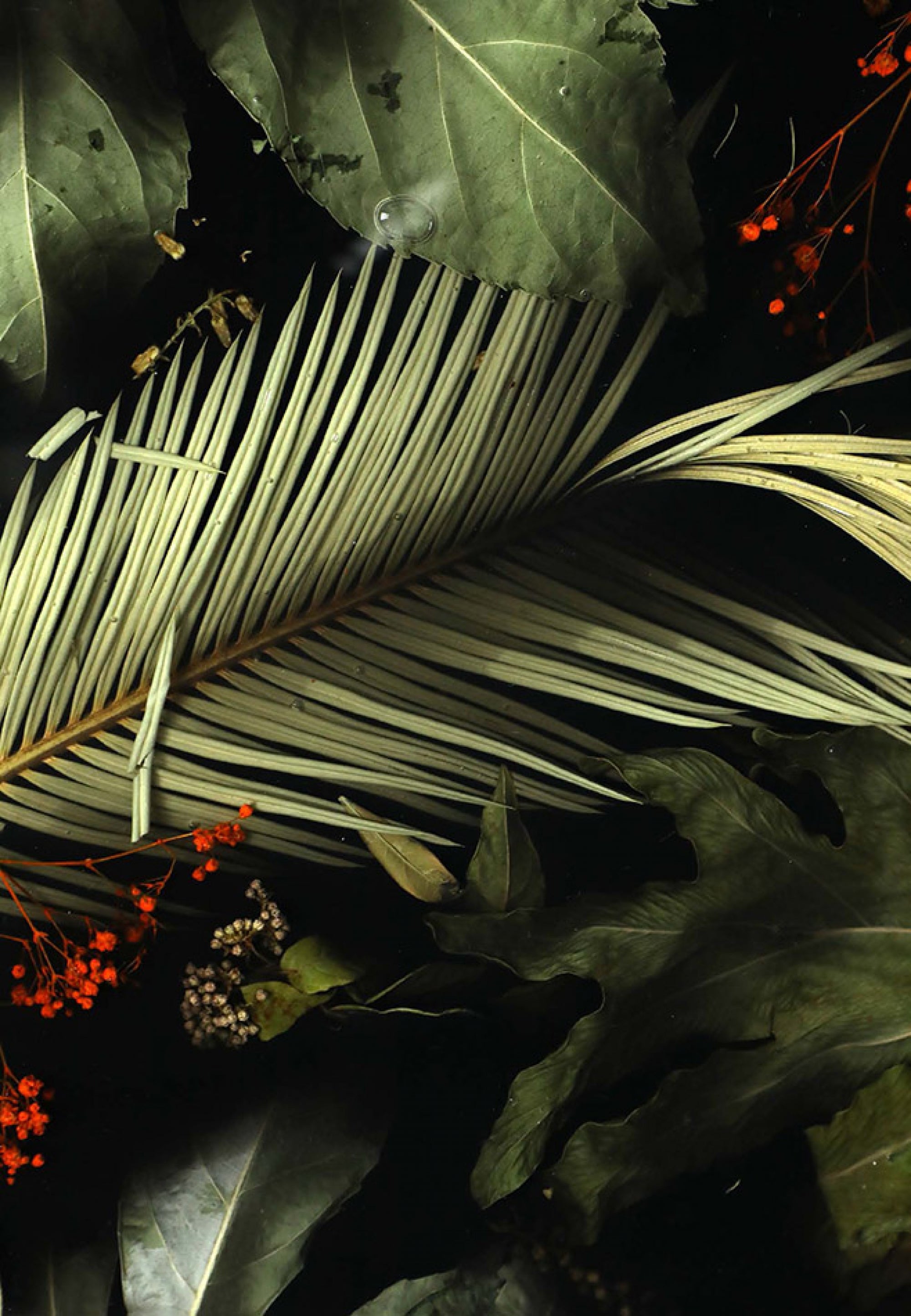 Credenza 172 Flora