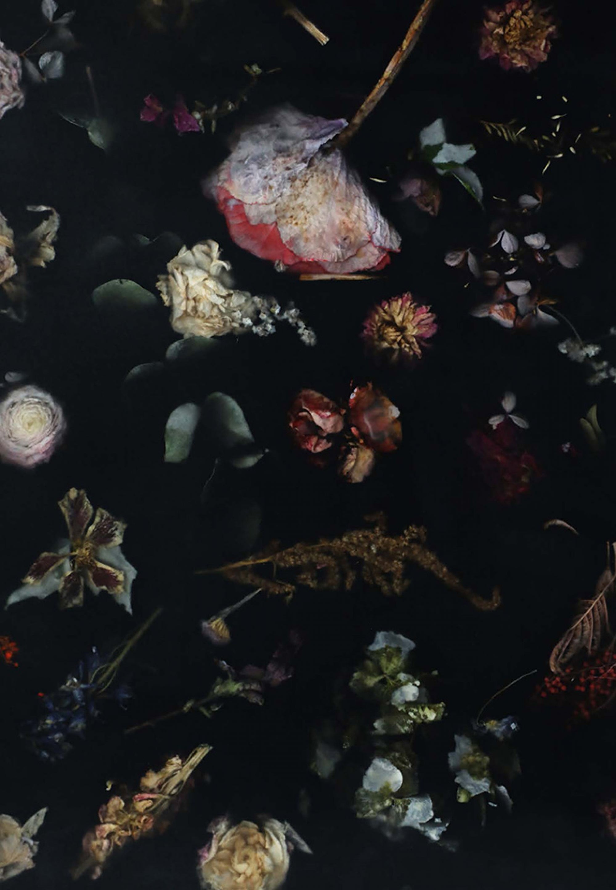 Credenza 365 Flora