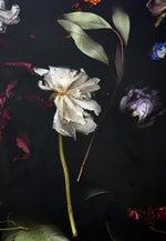 Flora Table 274