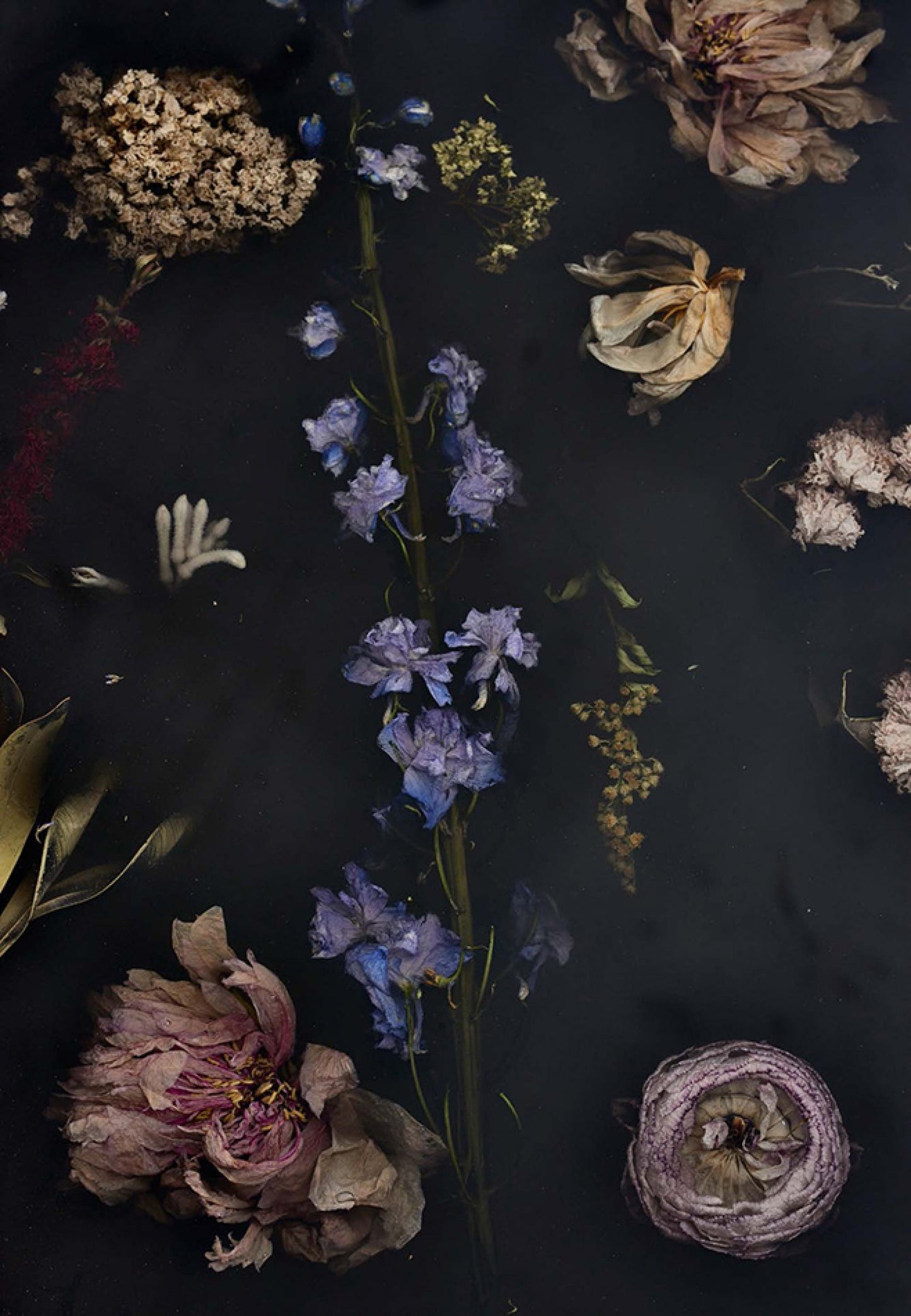 Flora Table 280
