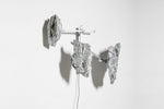 Protoplasting Nature 02