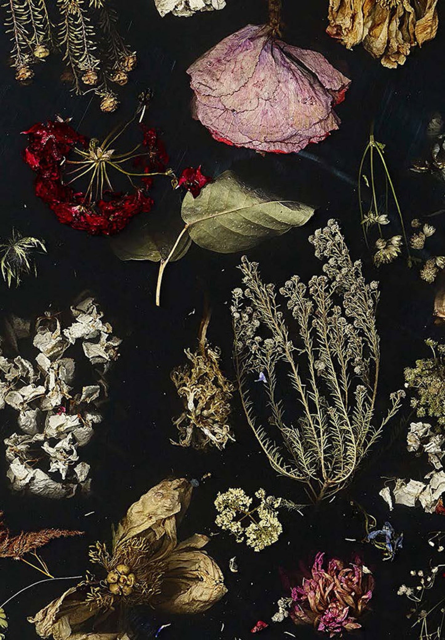 Wall Hanging Disc Flora