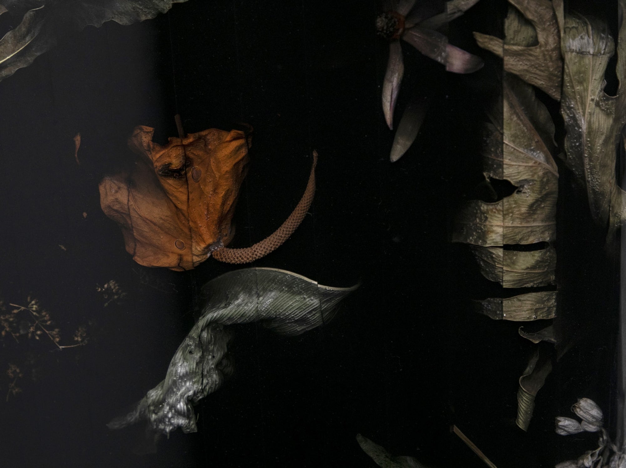 Monolith 190 Flora