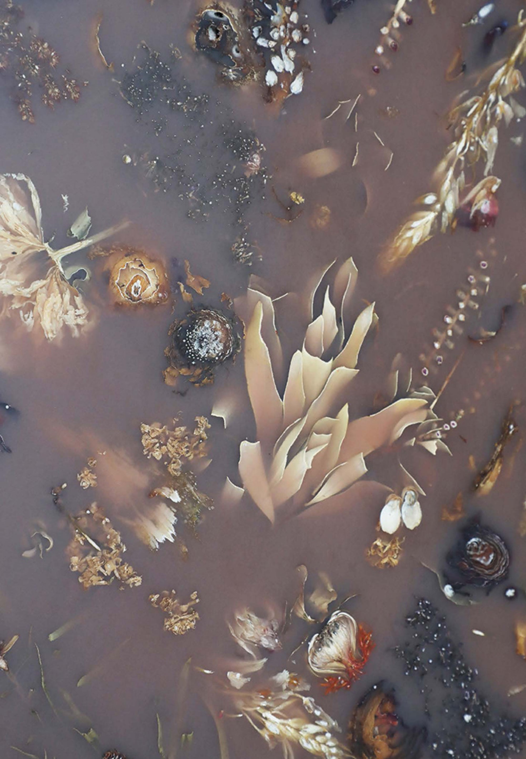 Flora Coffee Table II