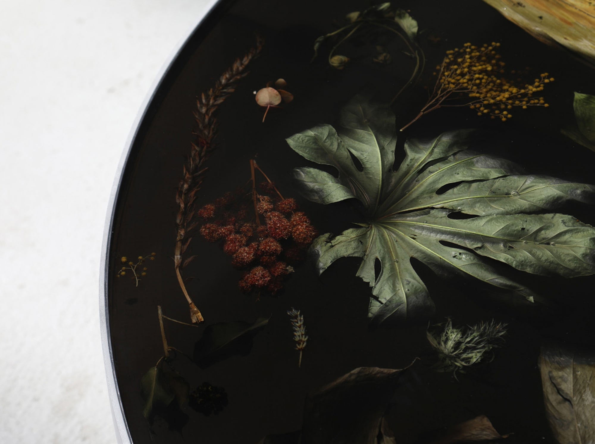Flora Low Coffee Table