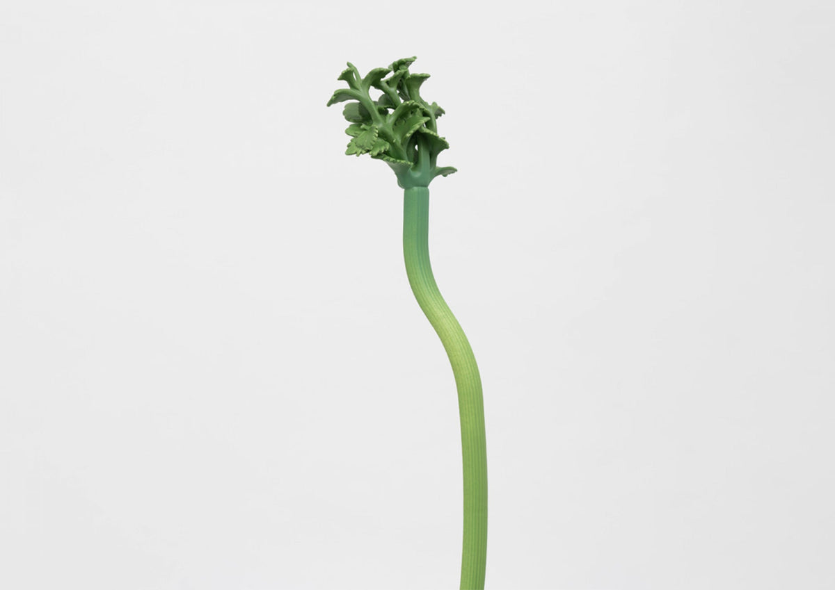 Sunny Sally