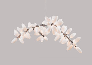 44-bulb Kingdom Chandelier