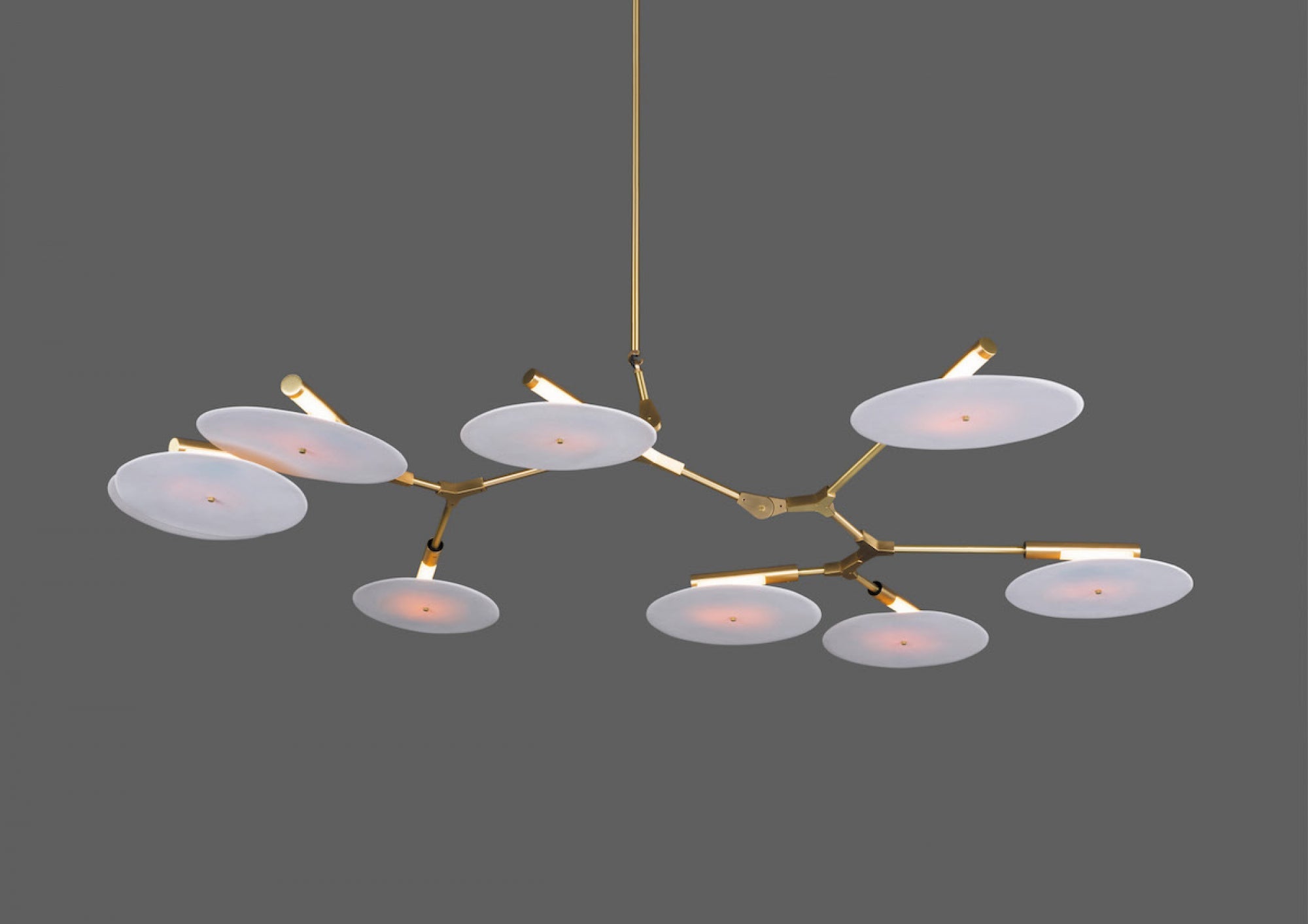 9-light Branching Disc